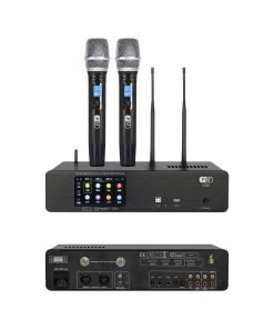 Amply 2 in 1 V300 thương hiệu F.I.M