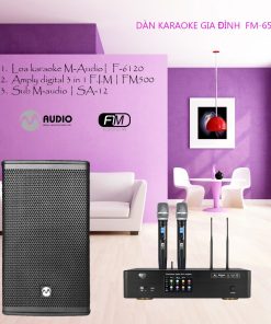 Bộ dàn karaoke gia đình FM-6500S.