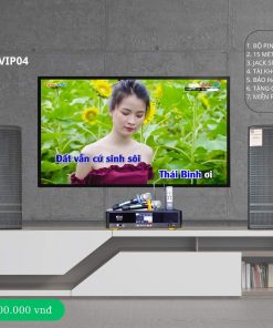 Dàn Karaoke Gia đình VIP 04
