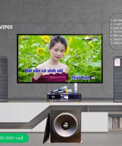 Dàn Karaoke Gia đình VIP 05