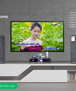 Dàn Karaoke Gia đình VIP 06