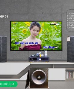 Dàn Karaoke Gia đình VIP 01