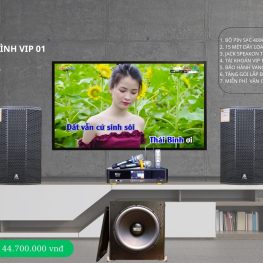 Dàn Karaoke Gia đình VIP 01