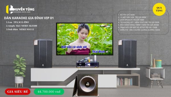 Dàn Karaoke Gia đình VIP 01