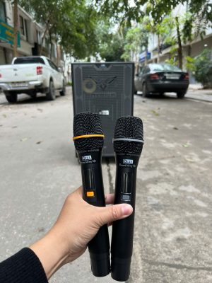 Loa Kéo Best S40