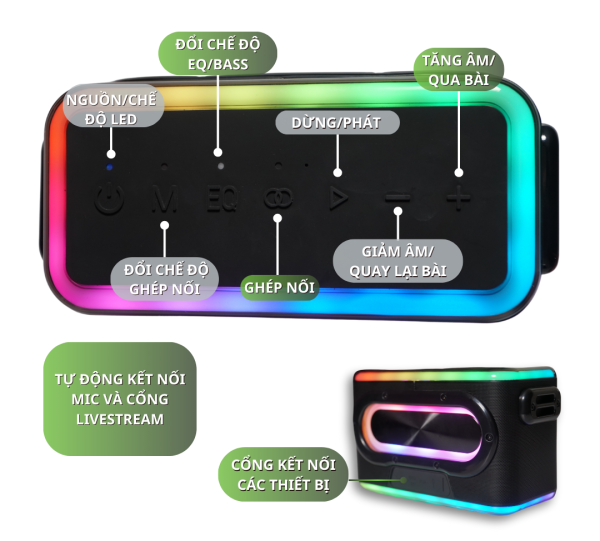 Loa xách tay VietK Amazing V100