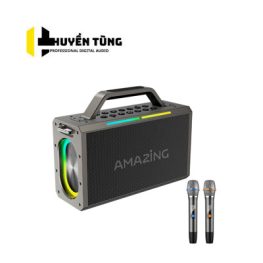 Loa xách tay VietK Amazing V200