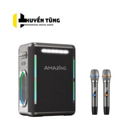 Loa xách tay VietK Amazing V300